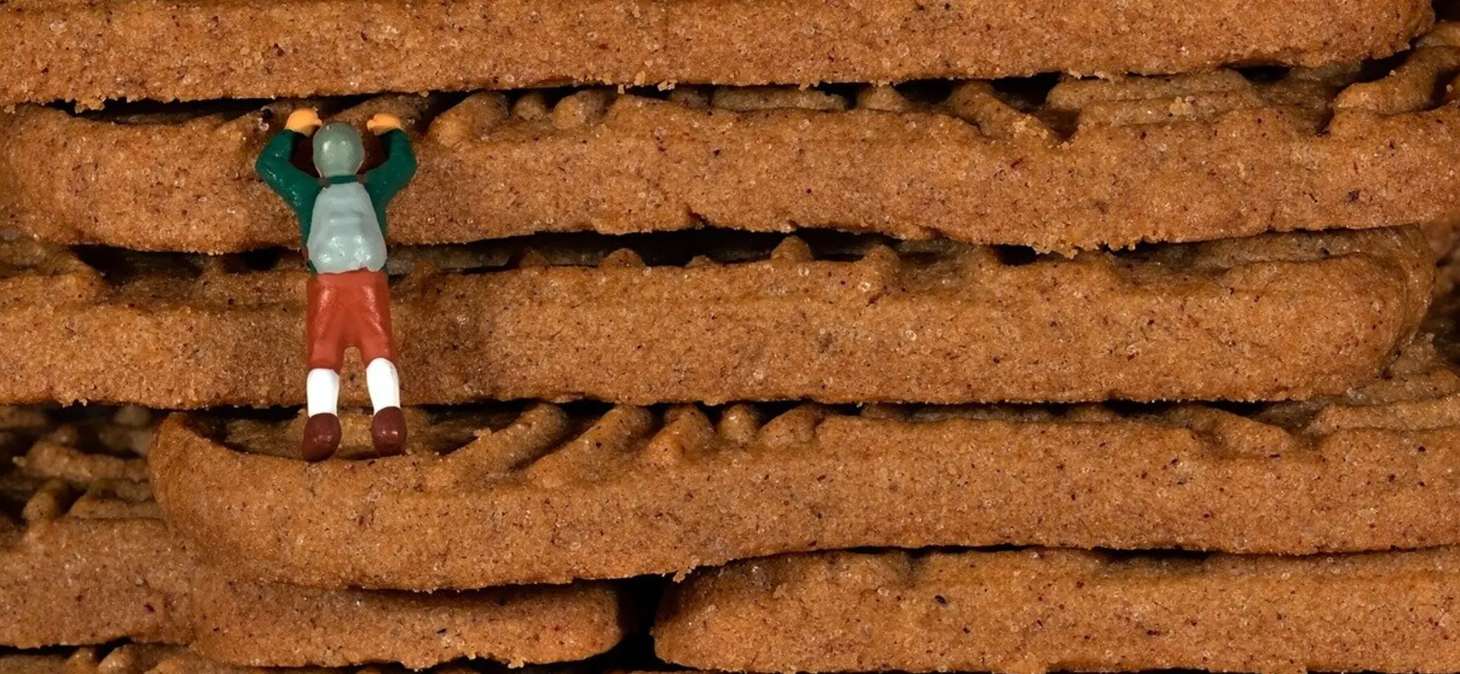 © Bild von 11082974 auf Pixabay