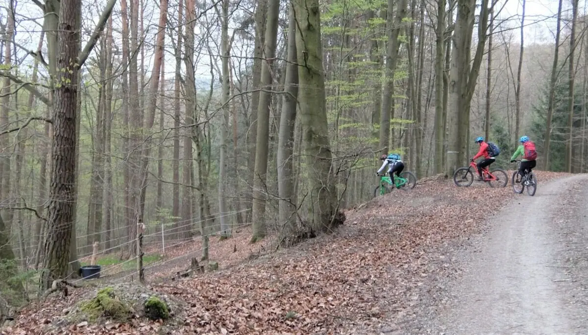 2019_Trail_Mengshausen #6 | © DAV Bad Hersfeld