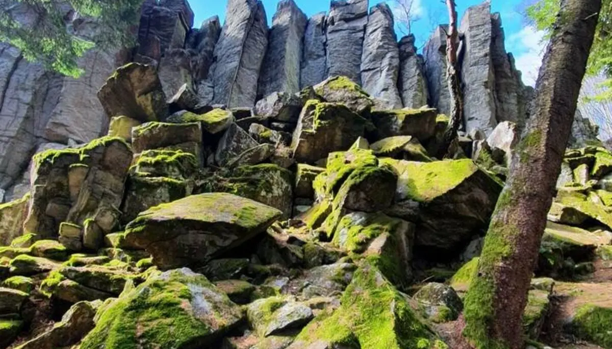 Steinwand_2021-03 | © DAV Bad Hersfeld