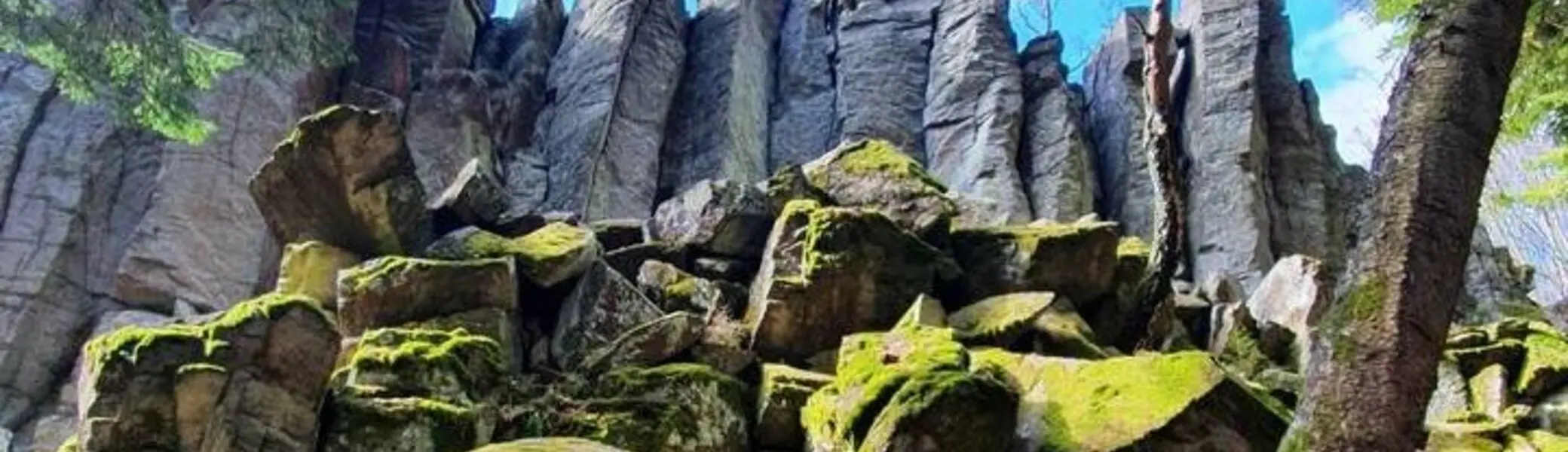 Steinwand_2021-03 | © DAV Bad Hersfeld