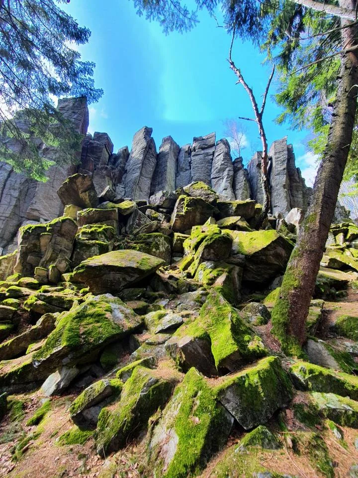 Steinwand_2021-03 | © DAV Bad Hersfeld