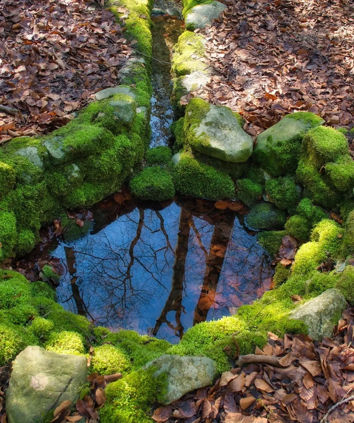 Quelle | © Bild von Antranias auf Pixabay