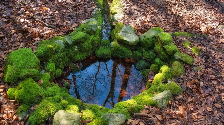 Quelle | © Bild von Antranias auf Pixabay