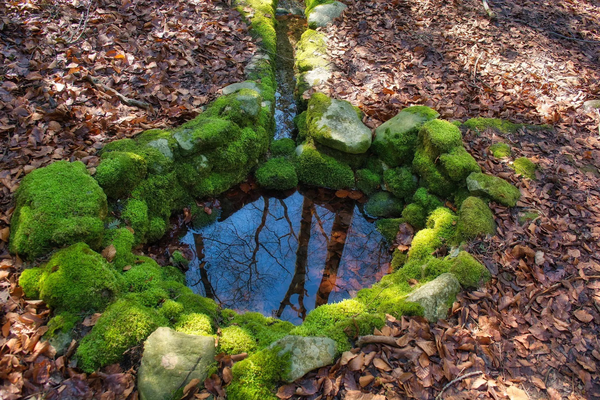 Quelle | © Bild von Antranias auf Pixabay