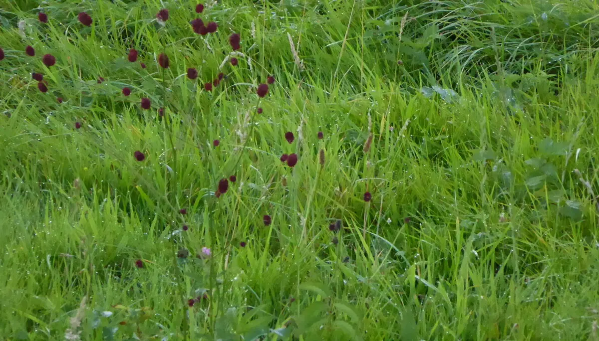 © DAV - Bad Hersfeld; U. Roller