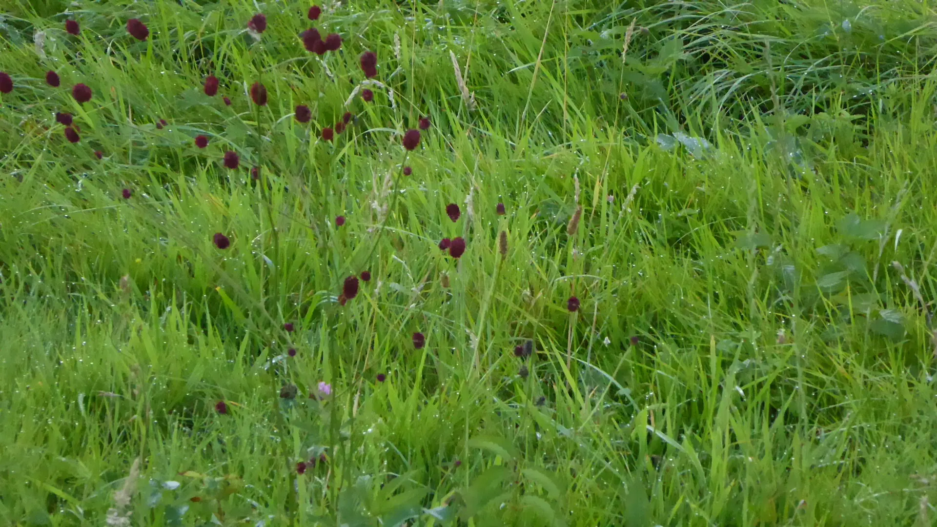 © DAV - Bad Hersfeld; U. Roller