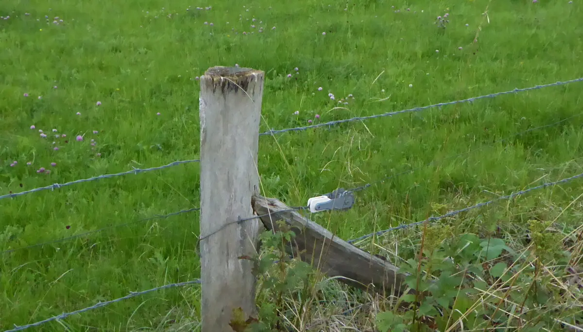 © DAV - Bad Hersfeld; U. Roller