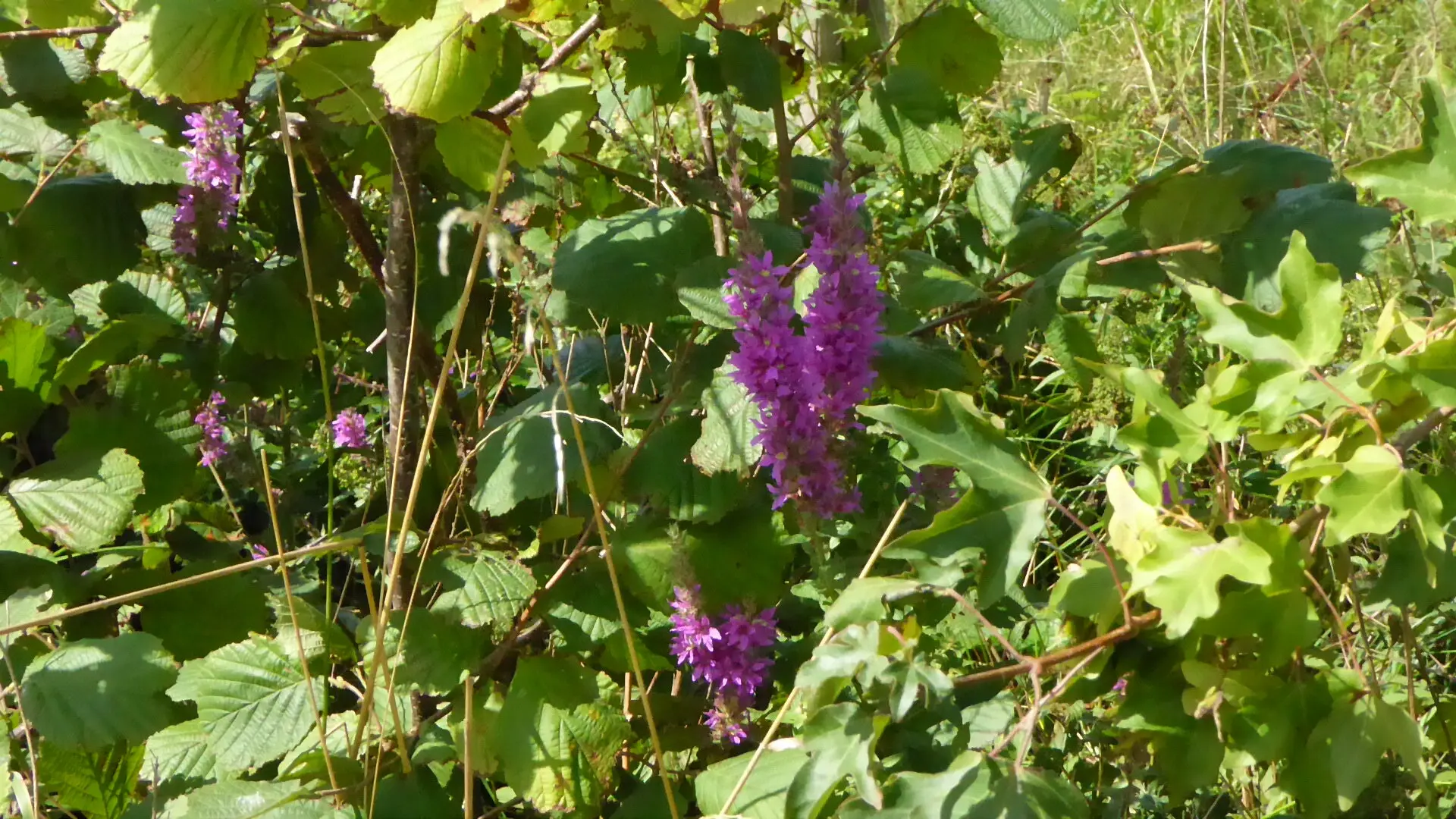 © DAV - Bad Hersfeld; U. Roller