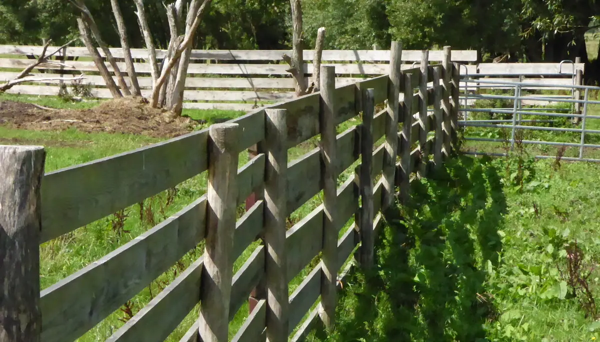 © DAV - Bad Hersfeld; U. Roller