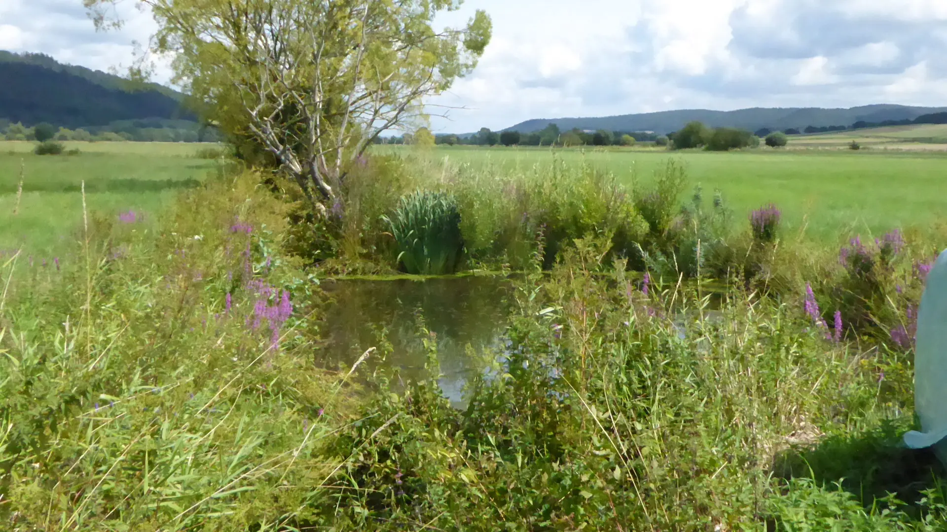 © DAV - Bad Hersfeld; U. Roller