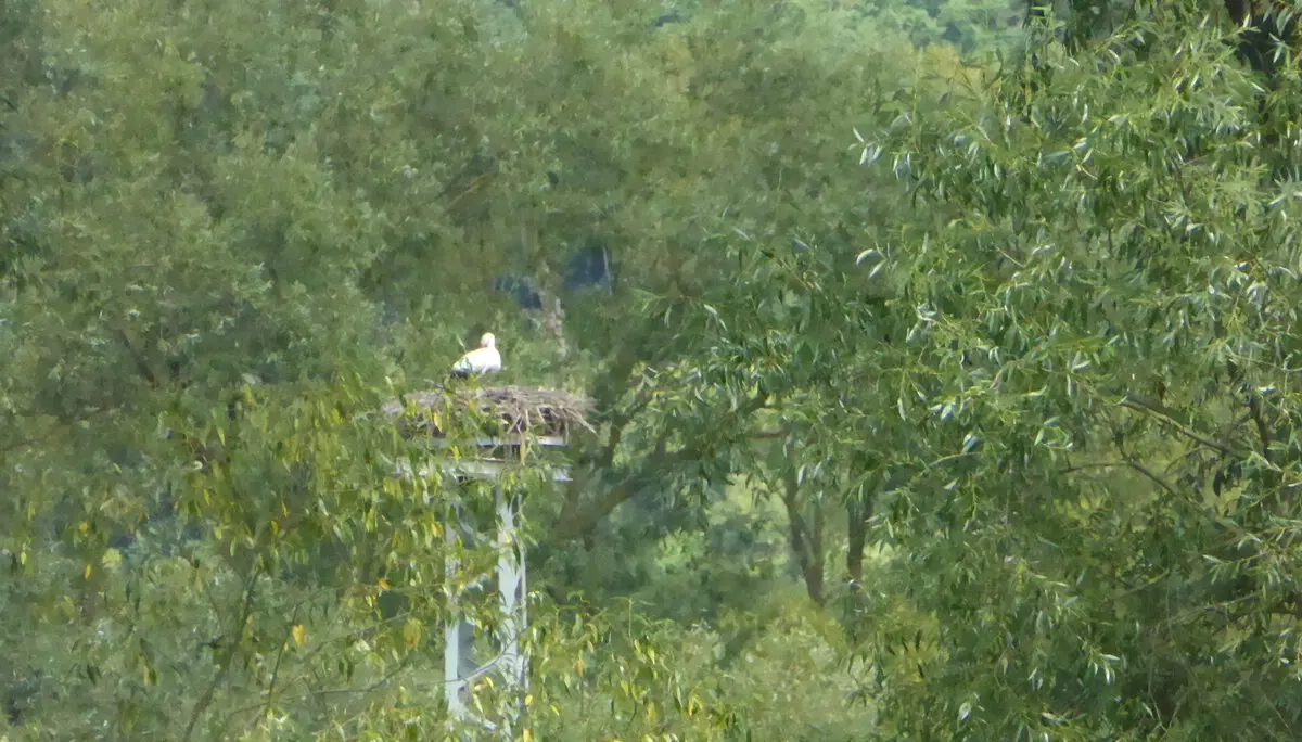 © DAV - Bad Hersfeld; U. Roller