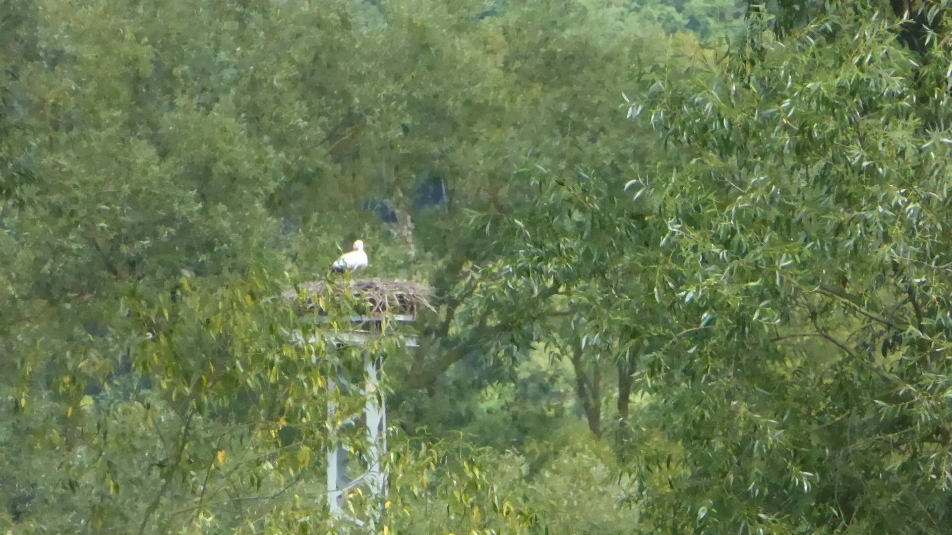 © DAV - Bad Hersfeld; U. Roller