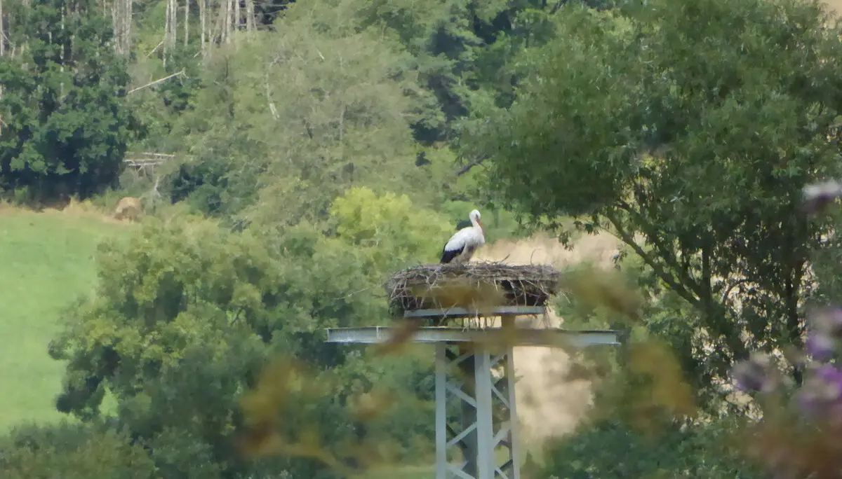 © DAV - Bad Hersfeld; U. Roller