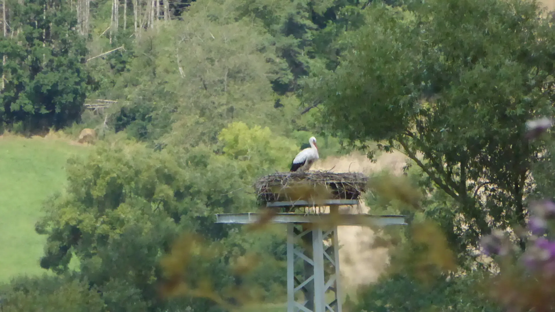 © DAV - Bad Hersfeld; U. Roller