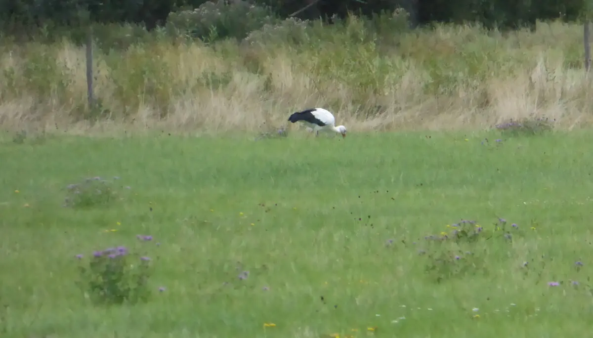 © DAV - Bad Hersfeld; U. Roller