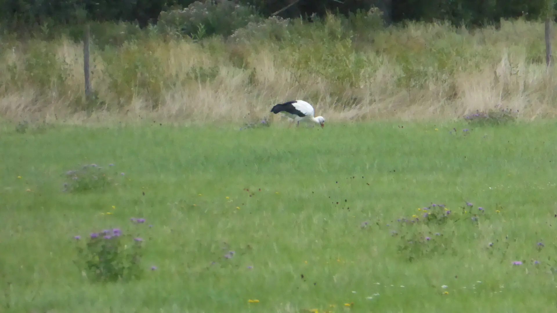 © DAV - Bad Hersfeld; U. Roller