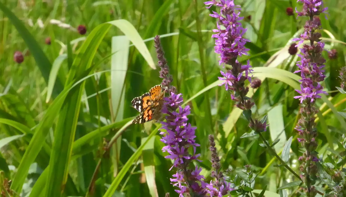 © DAV - Bad Hersfeld; U. Roller