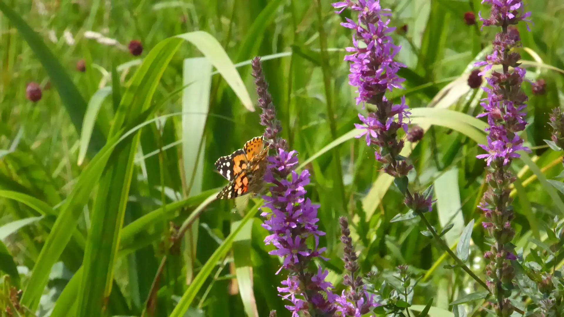 © DAV - Bad Hersfeld; U. Roller