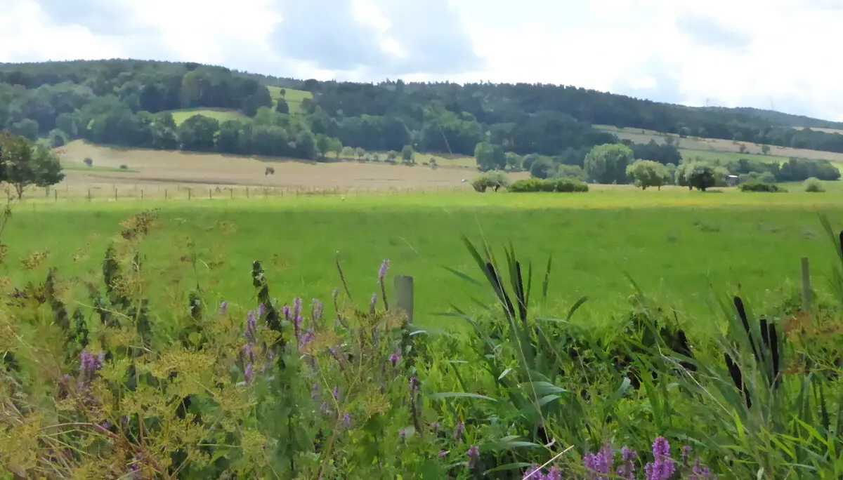 © DAV - Bad Hersfeld; U. Roller