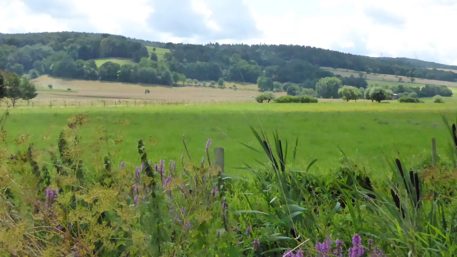 © DAV - Bad Hersfeld; U. Roller