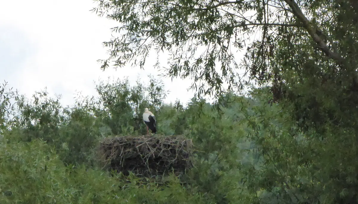 © DAV - Bad Hersfeld; U. Roller