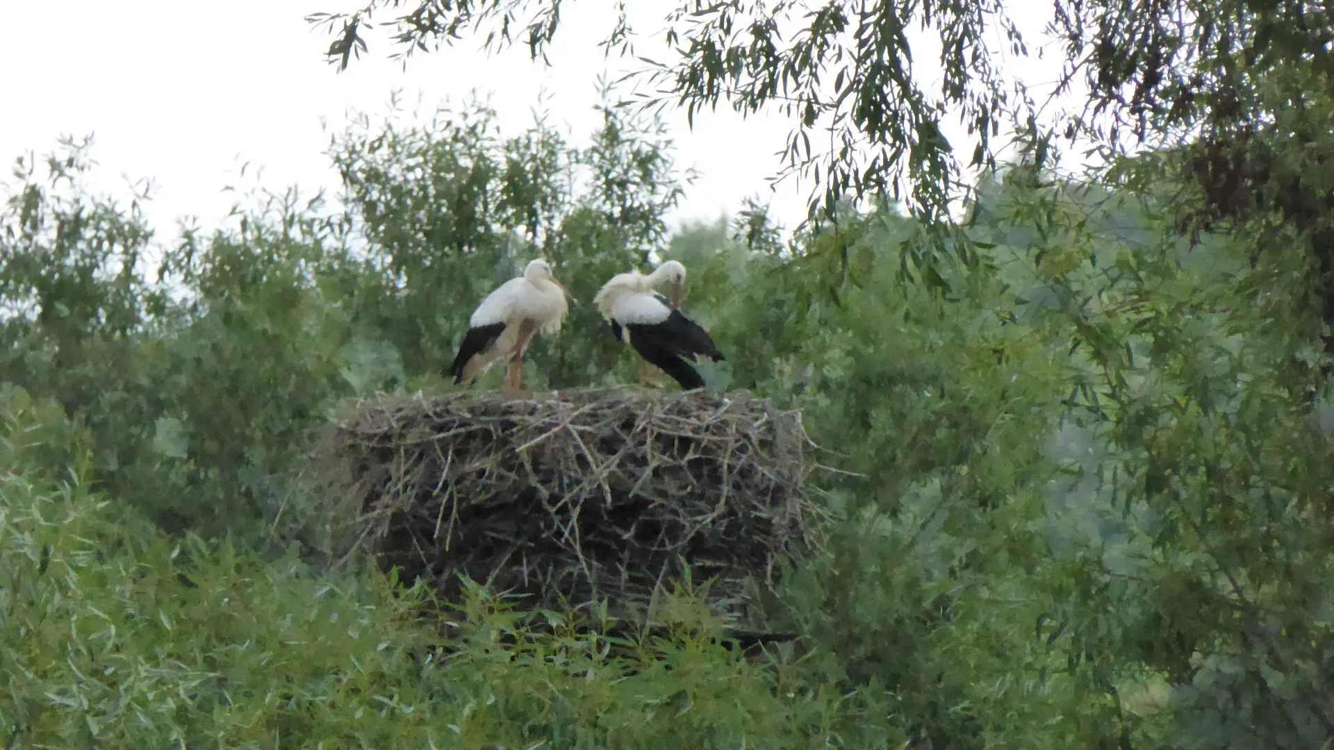 © DAV - Bad Hersfeld; U. Roller