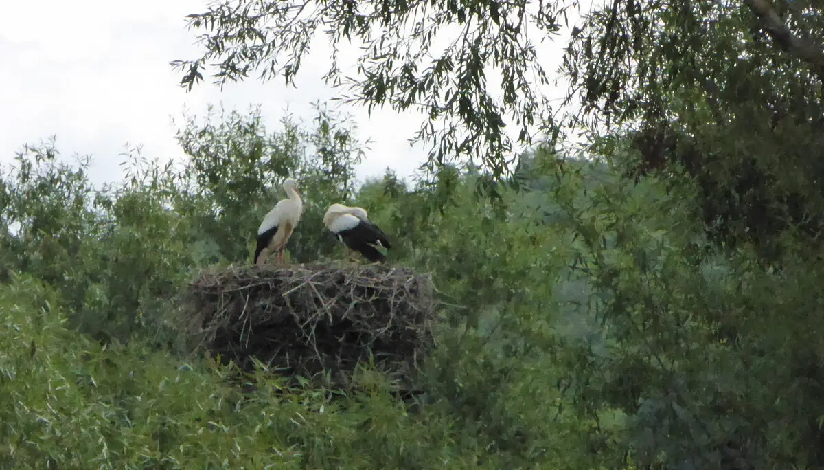 © DAV - Bad Hersfeld; U. Roller