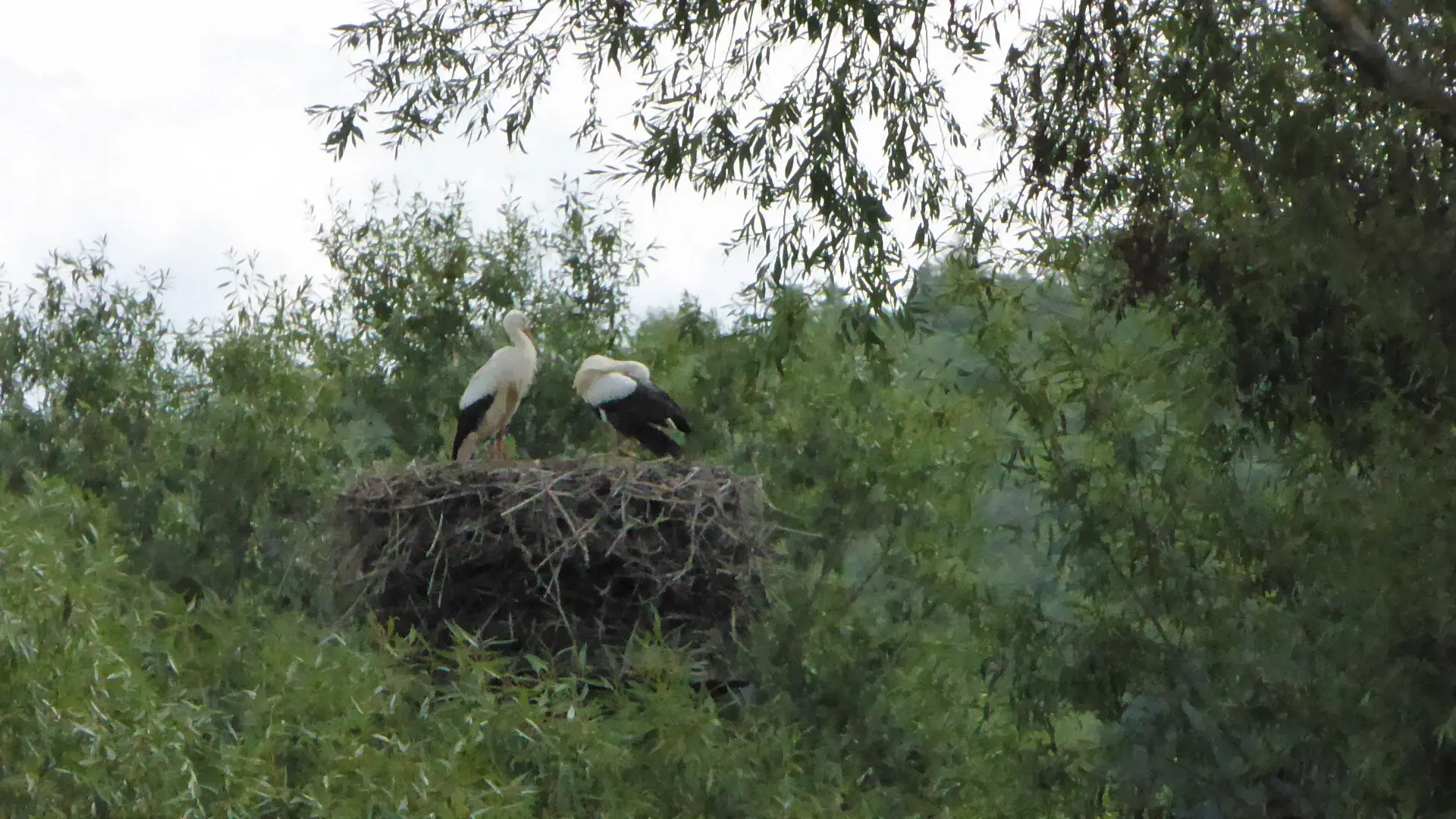 © DAV - Bad Hersfeld; U. Roller