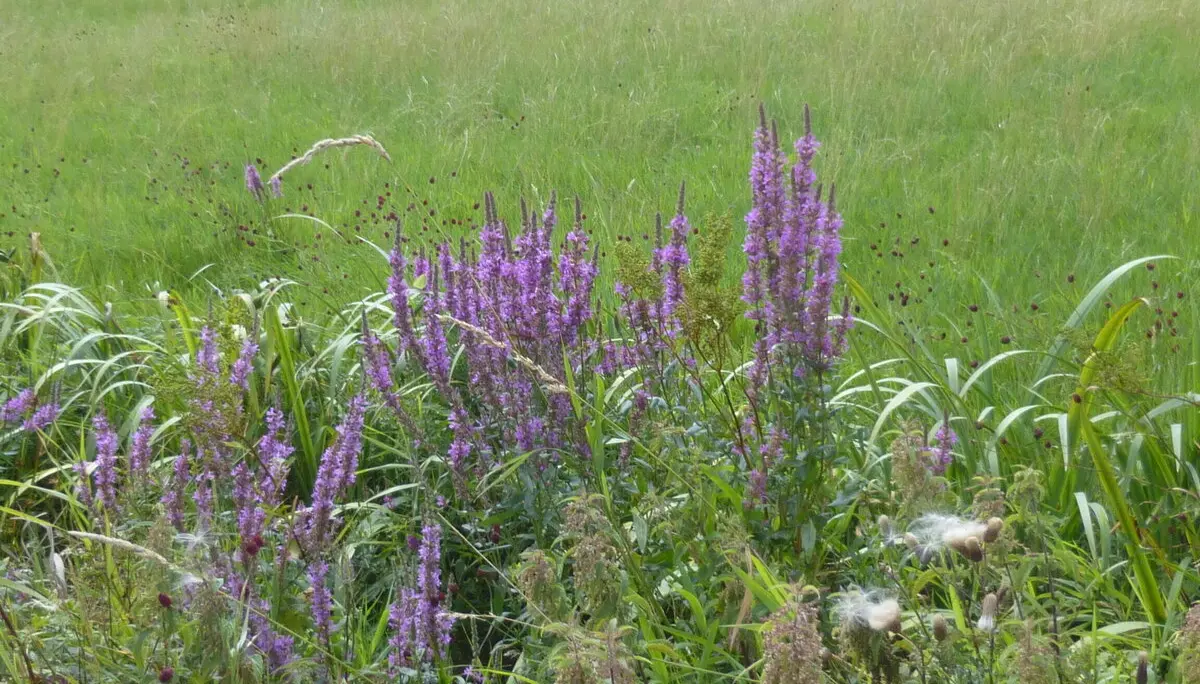 © DAV - Bad Hersfeld; U. Roller