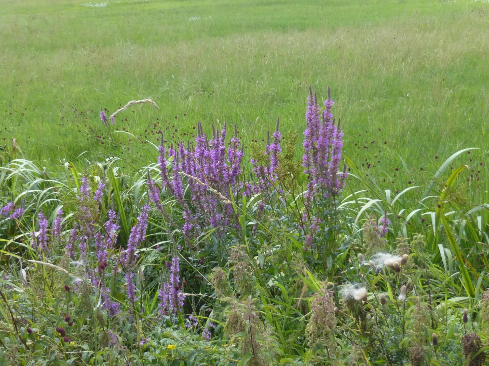 © DAV - Bad Hersfeld; U. Roller